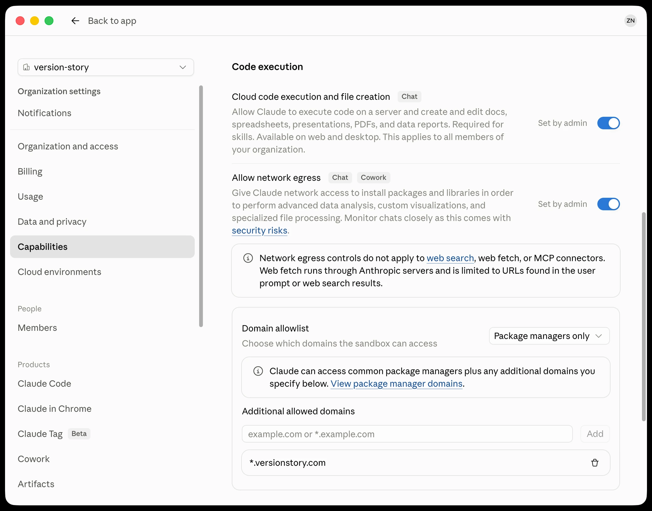 Organization Capabilities with network egress enabled and the domain added